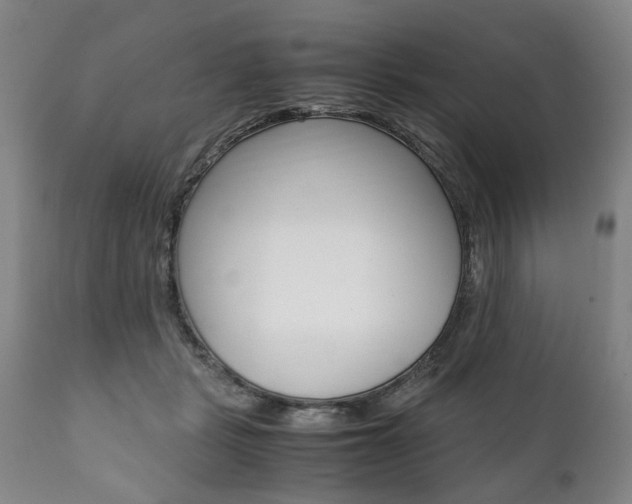 X0000111780461200907230953
