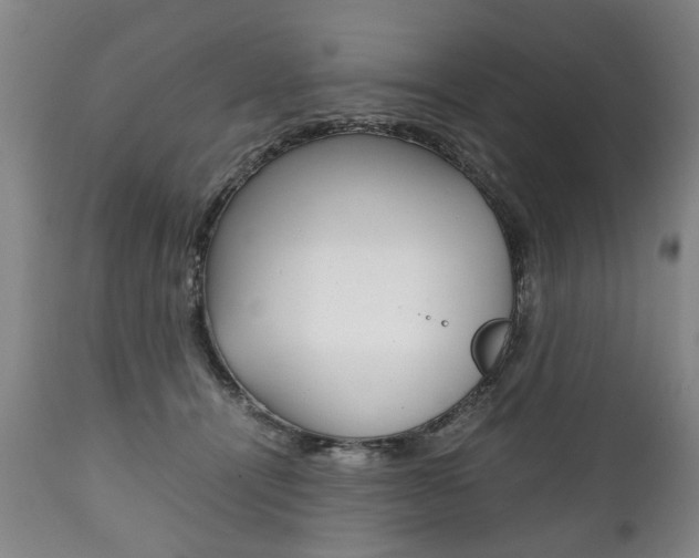 X0000111780464200907230953
