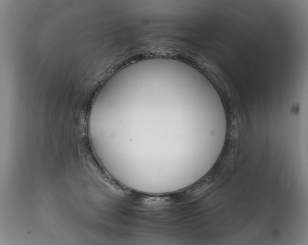 X0000111780465200907230953