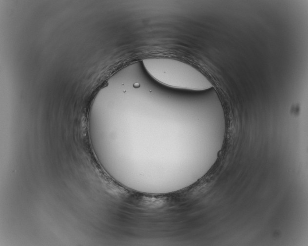 X0000111780469200907230953