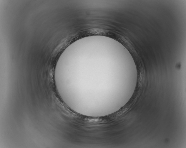 X0000111780473200907230953