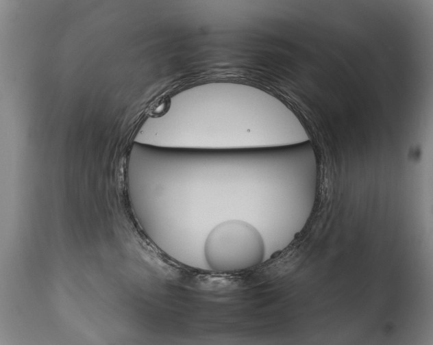 X0000111780475200907230953