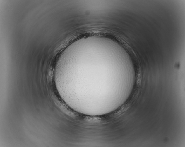 X0000111780476200907230953