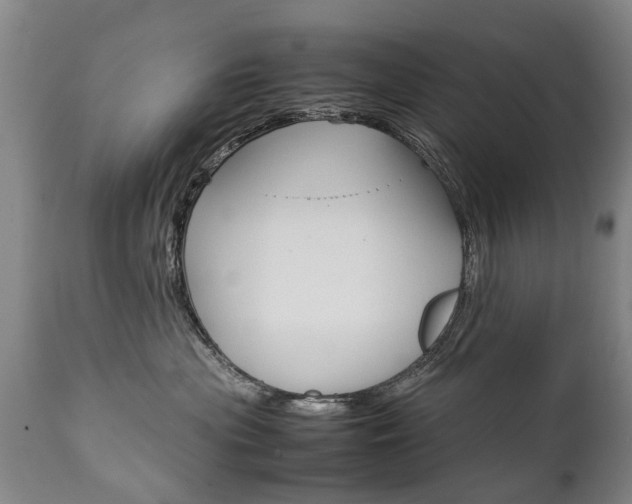 X0000111780477200907230953