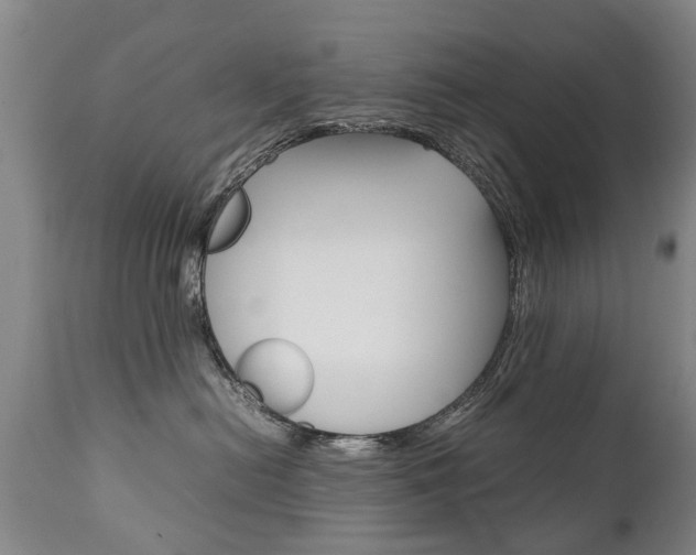 X0000111780478200907230953