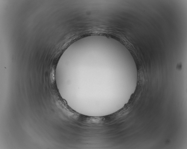 X0000111780479200907230953