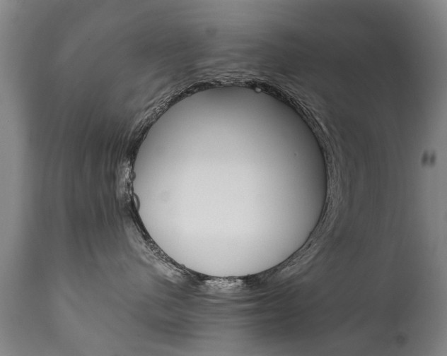 X0000111780480200907230953