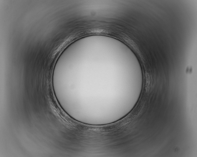 X0000111780482200907230953