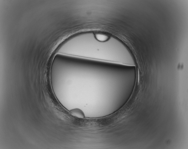 X0000111780483200907230953