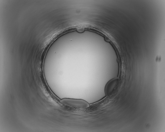 X0000111780485200907230953