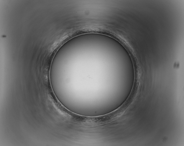 X0000111780489200907230953