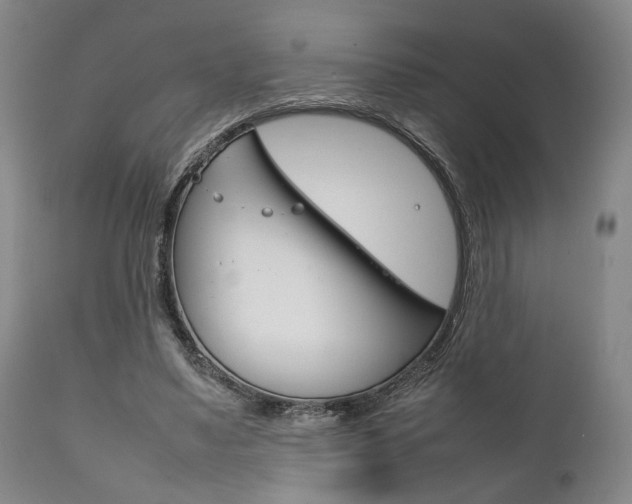 X0000111780491200907230953
