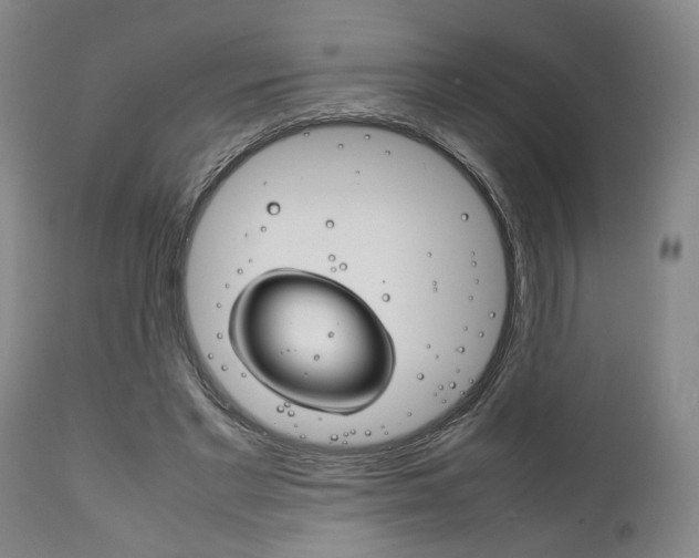X0000111780493200907230953