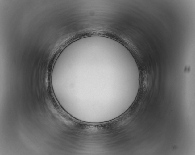 X0000111780494200907230953