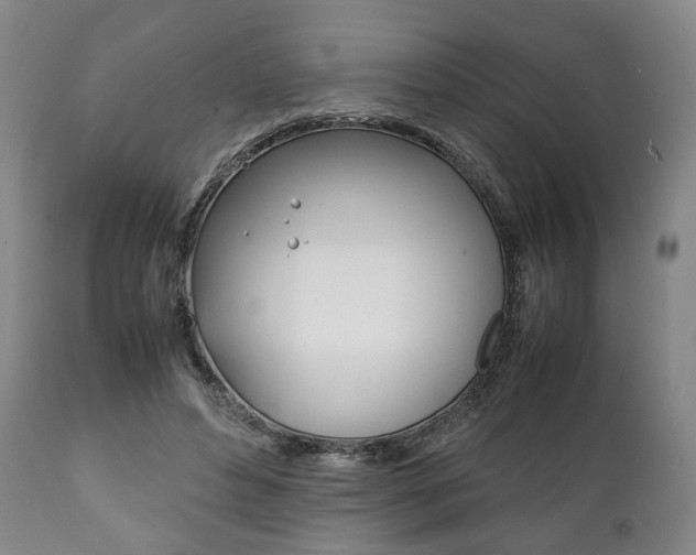 X0000111780496200907230953