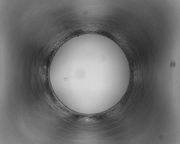 X0000111780498200907230953