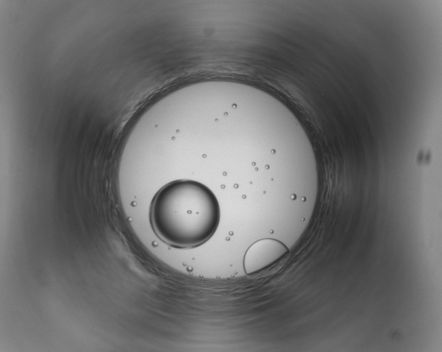 X0000111780500200907230953