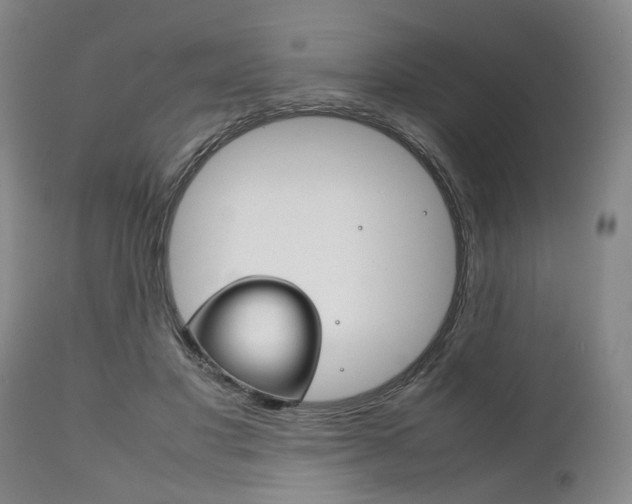 X0000111780501200907230953