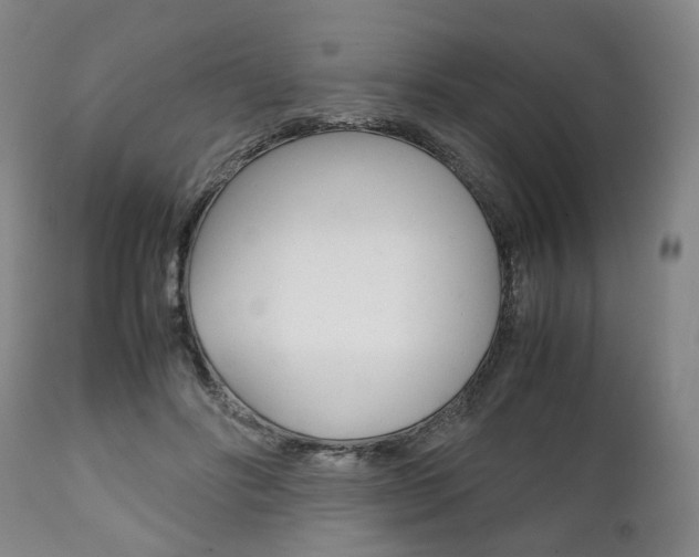 X0000111780502200907230953