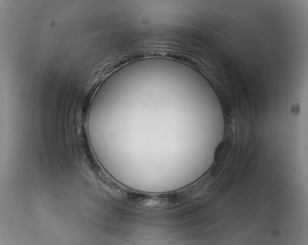 X0000111780504200907230952