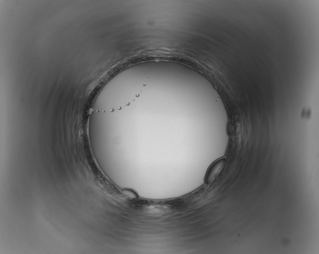 X0000111780508200907230952