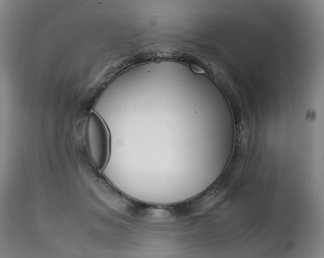 X0000111780509200907230952