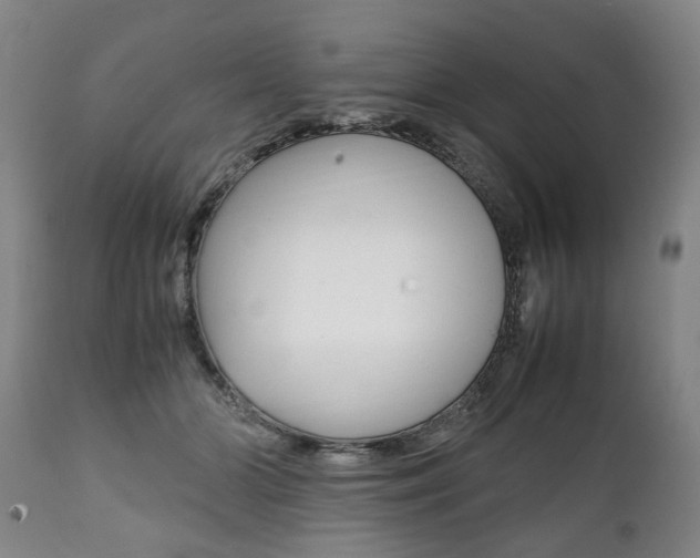 X0000111780510200907230952