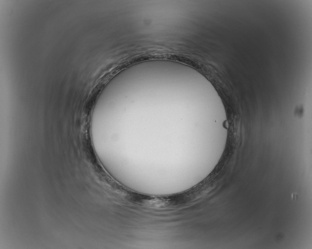 X0000111780511200907230952