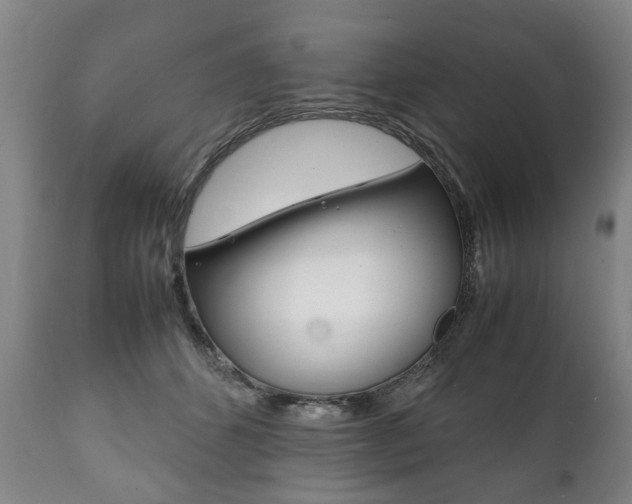 X0000111780512200907230952