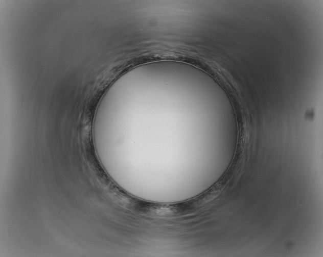 X0000111780513200907230952