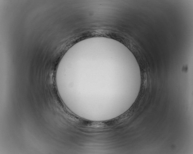 X0000111780514200907230952