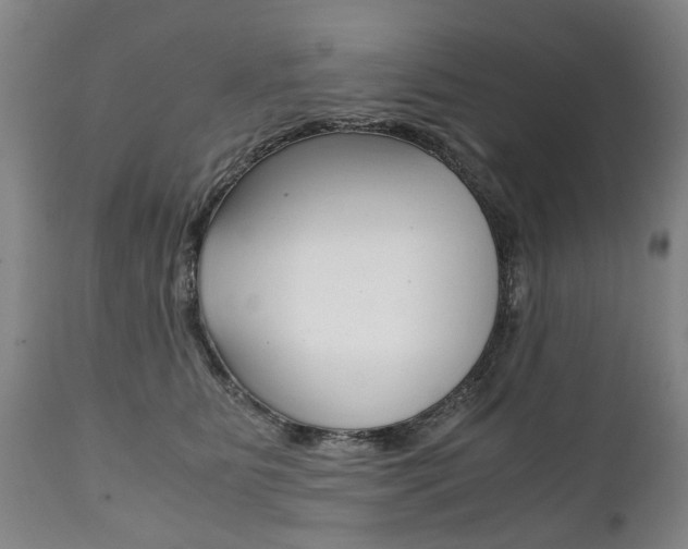 X0000111780515200907230952