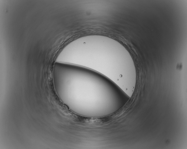 X0000111780517200907230952