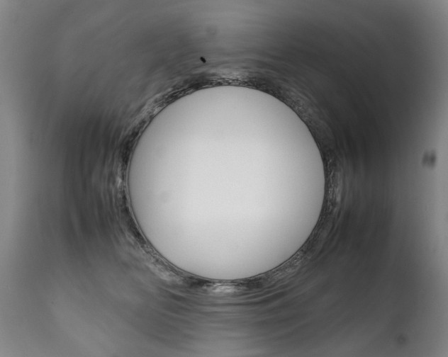 X0000111780518200907230952