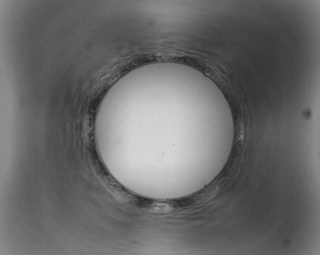 X0000111780519200907230952