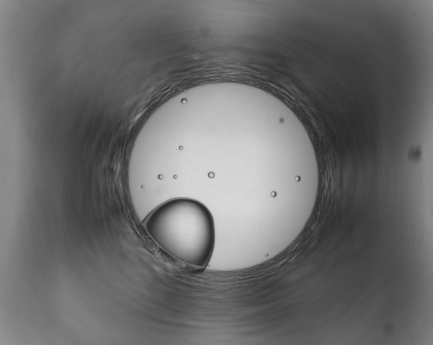 X0000111780520200907230952