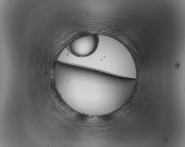 X0000111780521200907230952