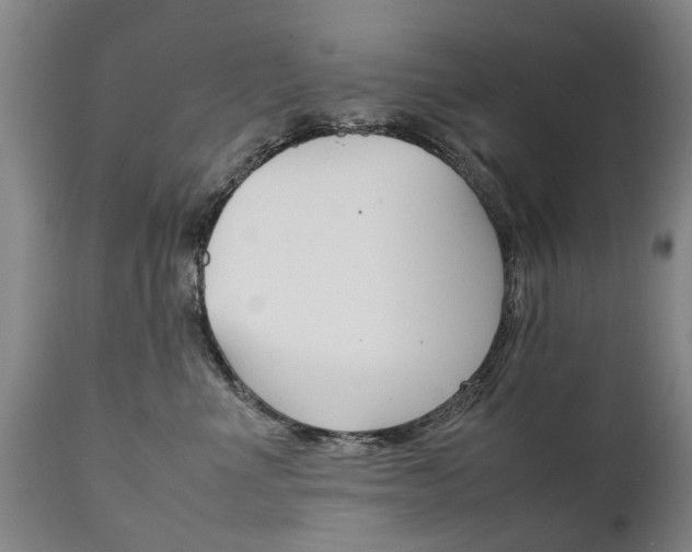 X0000111780523200907230952