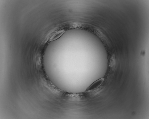 X0000111780524200907230952