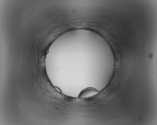 X0000111780525200907230952