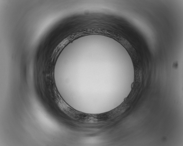 X0000111780526200907230952