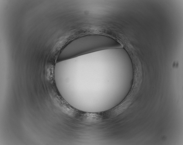 X0000111780528200907230952