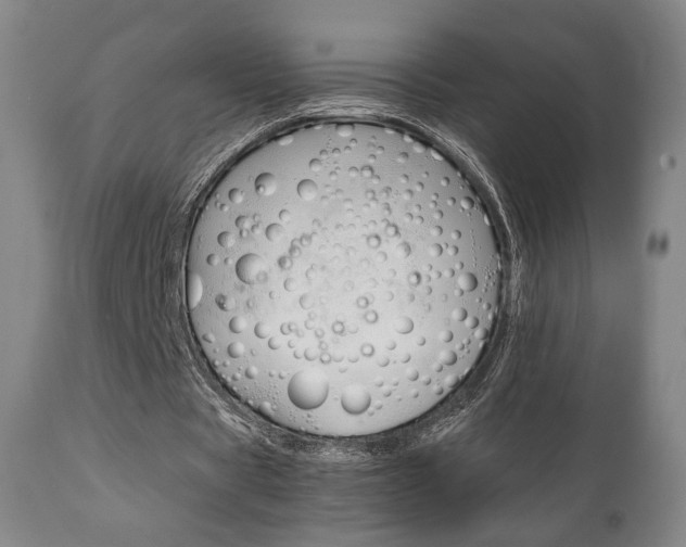 X0000111780529200907230951