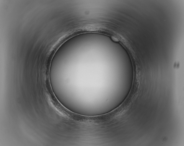 X0000111780530200907230951