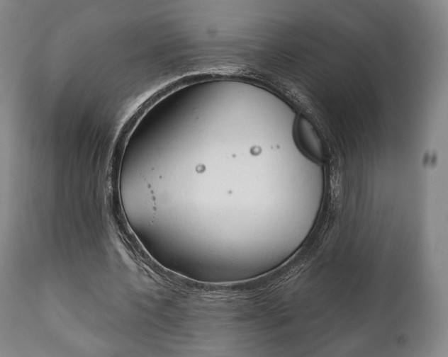 X0000111780532200907230951
