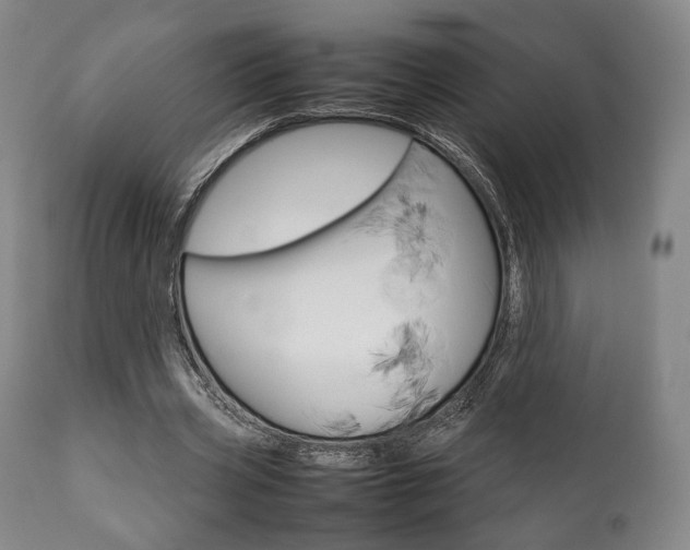 X0000111780533200907230951