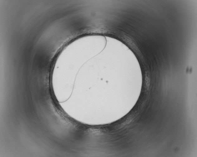X0000111780534200907230951