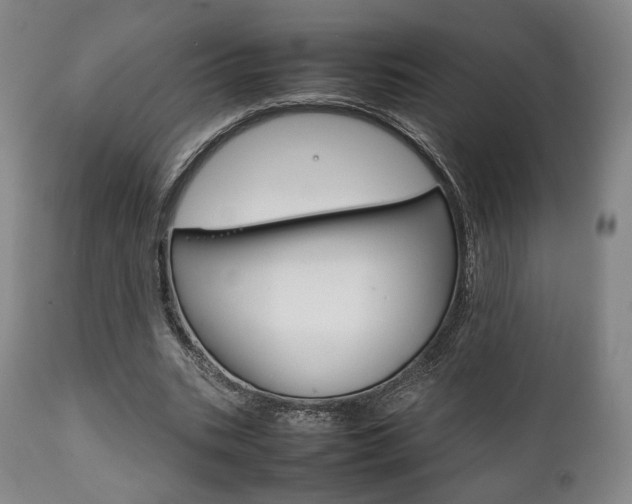 X0000111780535200907230951