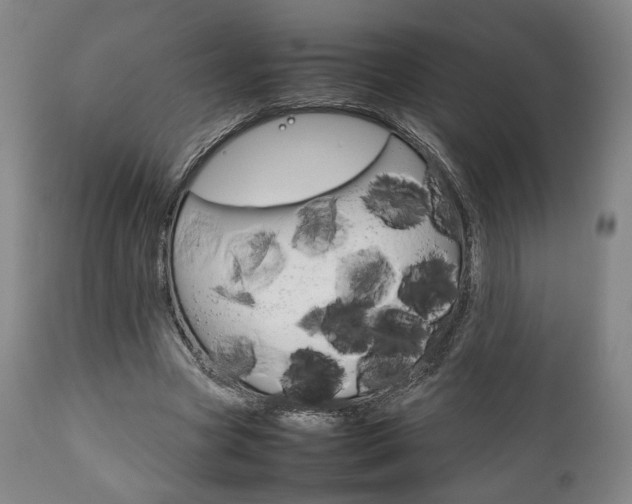 X0000111780537200907230951