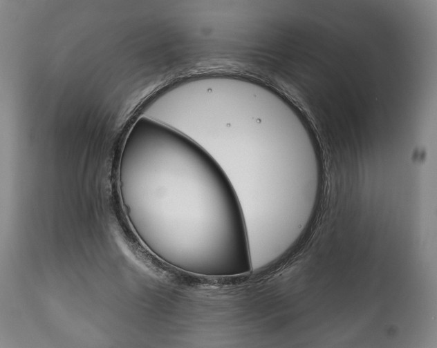X0000111780538200907230951